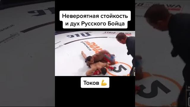Анатолий токов - русский богатырь Анатолий токов - русский богатырь