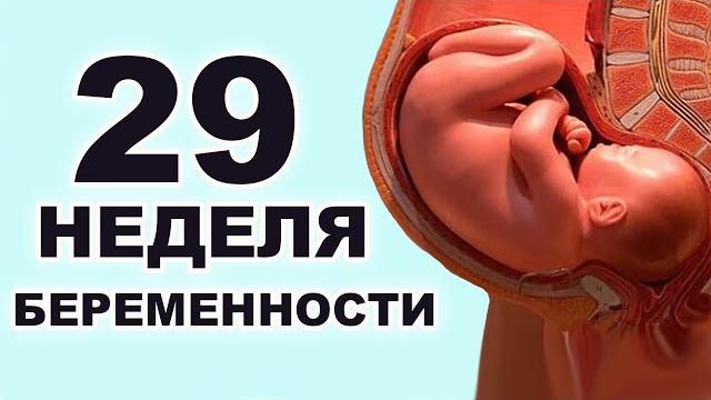 Что происходит с ребёнком и мамой на 29 неделе беременности? 7 месяц беременности. третий триместр. Что происходит с ребёнком и мамой на 29 неделе беременности? 7 месяц беременности. третий триместр.
