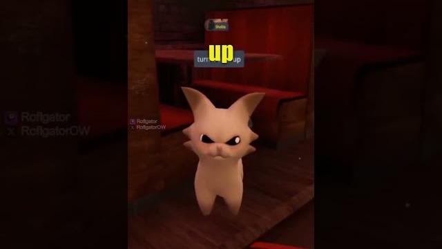 Eeaaoo catt vrchat Eeaaoo catt vrchat