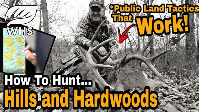 How to hunt public land in hills and hardwoods How to hunt public land in hills and hardwoods
