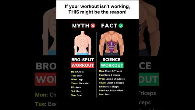 Best workout split for muscle growth (not bro-split) Best workout split for muscle growth (not bro-split)