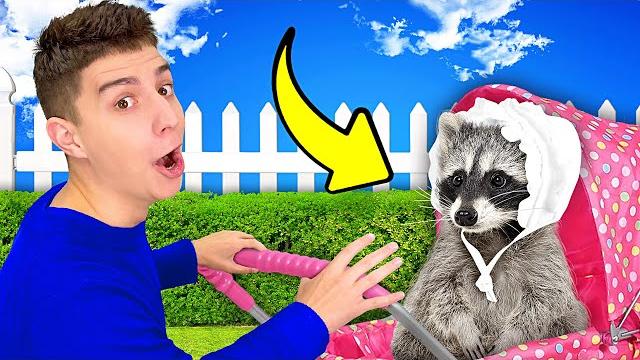 Стали нянями для животных на 24 часа ! Стали нянями для животных на 24 часа !