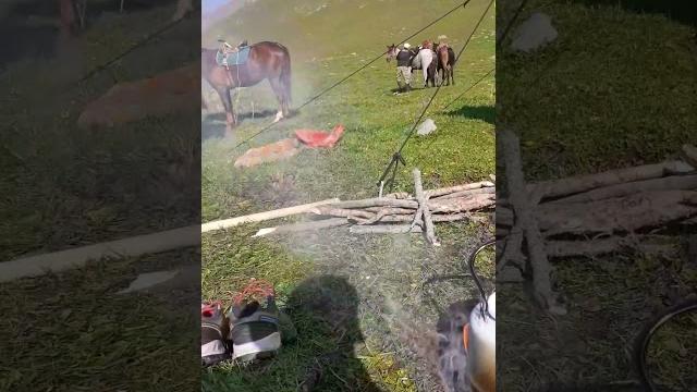 Экскурсия #кыргызстан #travel #kyrgyzrepublic #mountains #kg #nature #kyrgyzstan #horse #саякат Экскурсия #кыргызстан #travel #kyrgyzrepublic #mountains #kg #nature #kyrgyzstan #horse #саякат