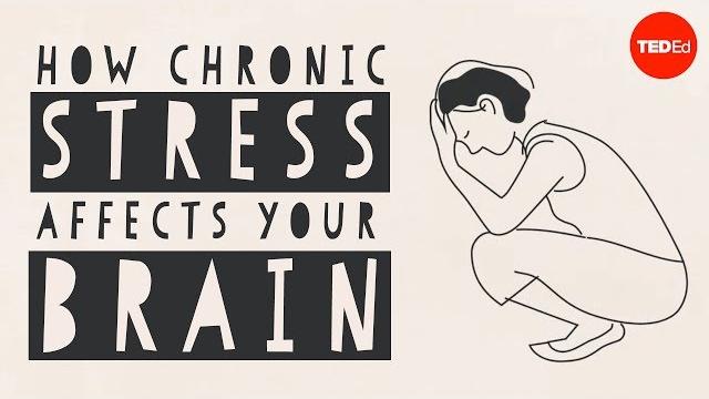How stress affects your brain - madhumita murgia How stress affects your brain - madhumita murgia