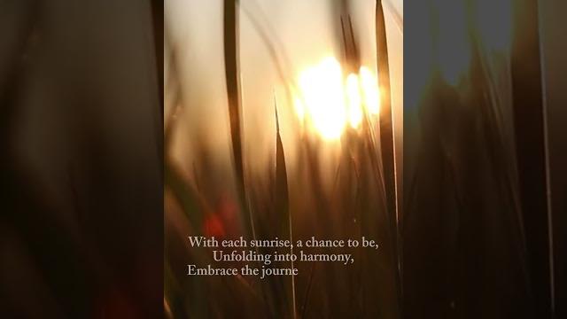 Nature healing: self acceptance Nature healing: self acceptance