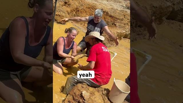 Super rare fossil alert! amazing walrus tusk found digging at palmetto fossil excursions! Super rare fossil alert! amazing walrus tusk found digging at palmetto fossil excursions!