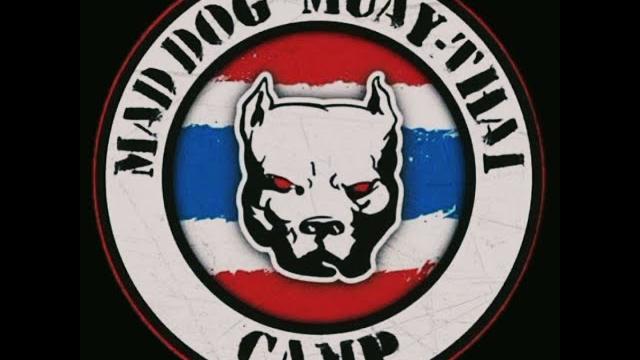 Mad dog thai pads Mad dog thai pads