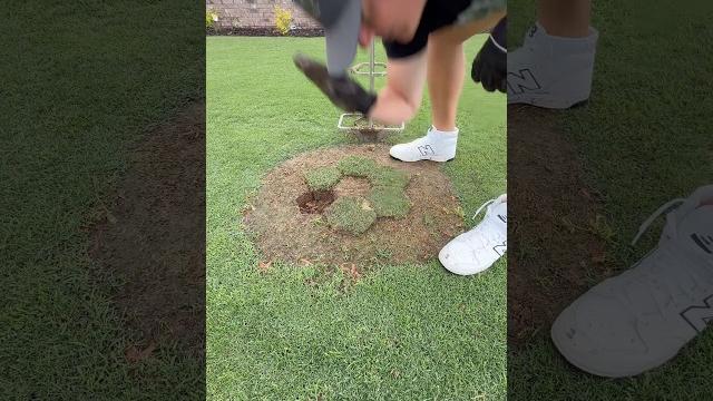 Spank the lawn Spank the lawn