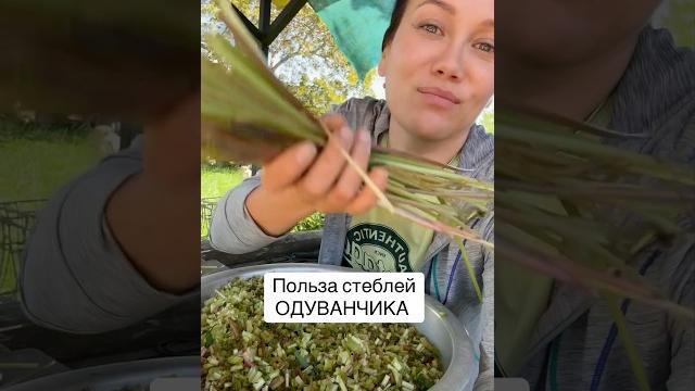 Чай из стеблей одуванчика, рецепт увидела в тиктоке Чай из стеблей одуванчика, рецепт увидела в тиктоке