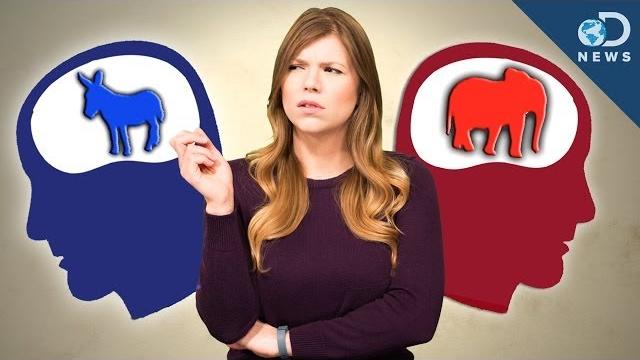 How are conservative and liberal brains different? How are conservative and liberal brains different?