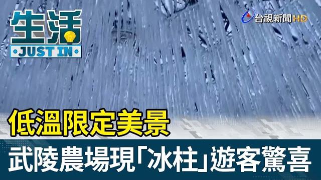 低溫限定美景 武陵農場現「冰柱」遊客驚喜【生活資訊】 低溫限定美景 武陵農場現「冰柱」遊客驚喜【生活資訊】