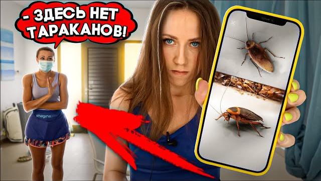 Она пришла ловить тараканов - вторая вилла на кипре | elli di Она пришла ловить тараканов - вторая вилла на кипре | elli di
