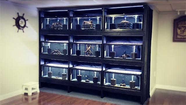 Ultimate diy aquarium breeding rack (auto water changes, clean design, low maintenance) Ultimate diy aquarium breeding rack (auto water changes, clean design, low maintenance)