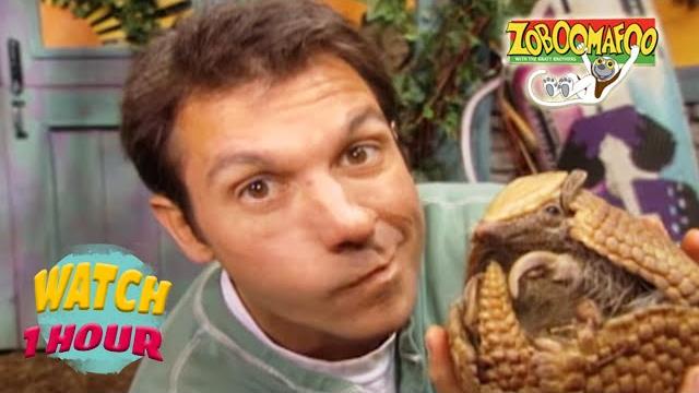 Zoboomafoo with the kratt brothers! hd | full episodes compilation Zoboomafoo with the kratt brothers! hd | full episodes compilation