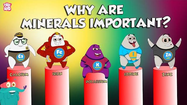 Why are minerals important? | functions of minerals | the dr binocs show | peekaboo kidz Why are minerals important? | functions of minerals | the dr binocs show | peekaboo kidz