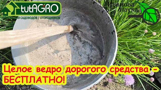 Ведро дорогого средства - бесплатно: мощный органический стимулятор роста растений своими руками! Ведро дорогого средства - бесплатно: мощный органический стимулятор роста растений своими руками!