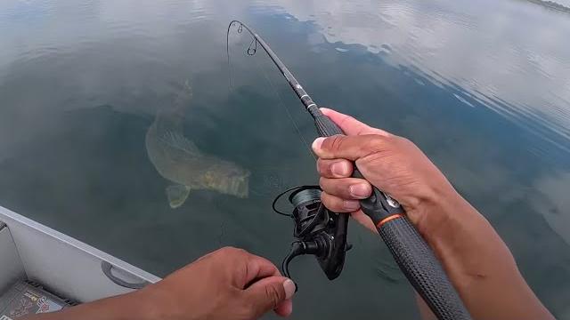 Fishing aggressive walleyes in deep water! Fishing aggressive walleyes in deep water!
