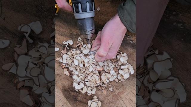 Making a multi-use cook stove for camping Making a multi-use cook stove for camping