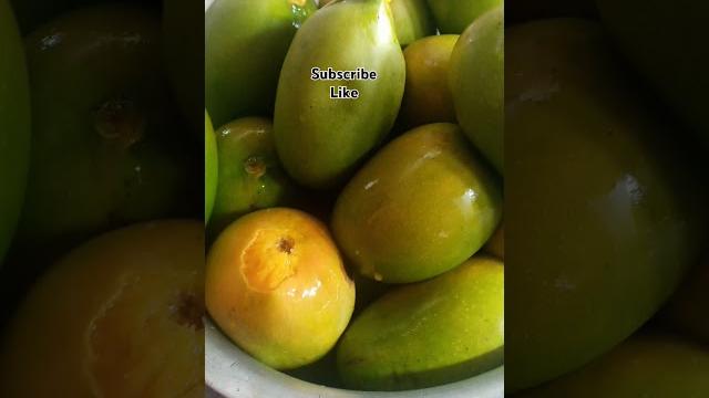 #summerdrink #recipe #mango #j1 https://www.youtube.com/live/kkn4wv2hr_s?si=qqwaqi1cvtpattrc #summerdrink #recipe #mango #j1 https://www.youtube.com/live/kkn4wv2hr_s?si=qqwaqi1cvtpattrc
