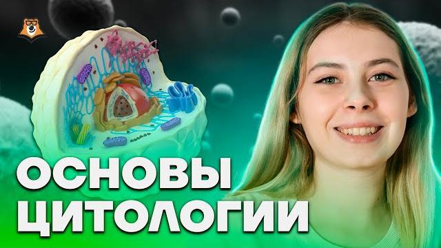 Основы цитологии | биология егэ 2025 | умскул Основы цитологии | биология егэ 2025 | умскул
