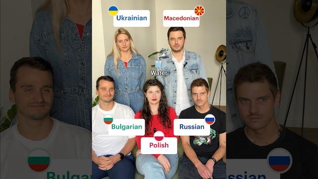 How similar is russian to balto-slavic languages? How similar is russian to balto-slavic languages?