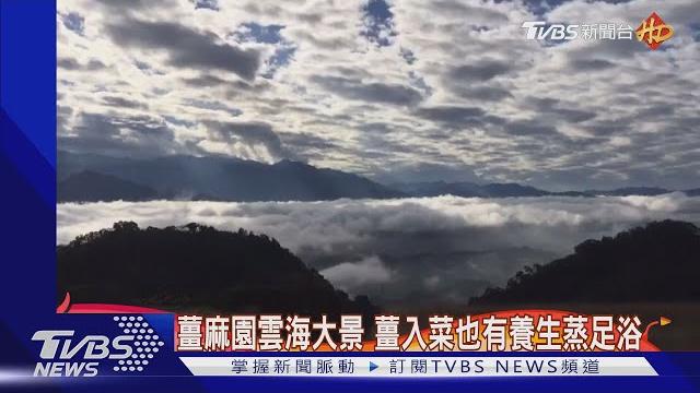 薑麻園雲海大景 薑入菜也有養生蒸足浴|tvbs新聞 薑麻園雲海大景 薑入菜也有養生蒸足浴|tvbs新聞