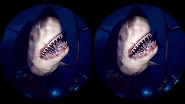 С водных горок в пасть к акуле в 3d vr. видео для 3d vr С водных горок в пасть к акуле в 3d vr. видео для 3d vr
