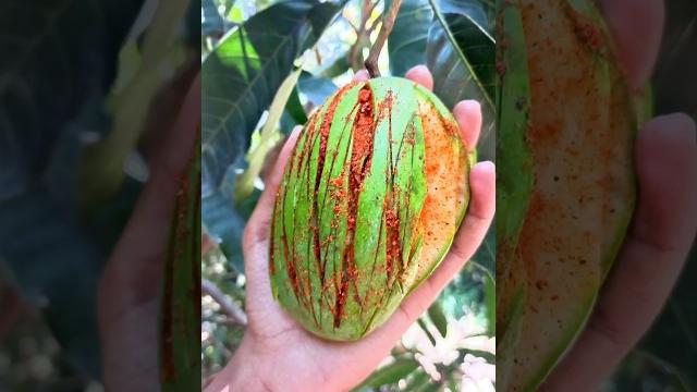 Let's make special raw spicy mango pickle අඹ #mango #pickle Let's make special raw spicy mango pickle අඹ #mango #pickle