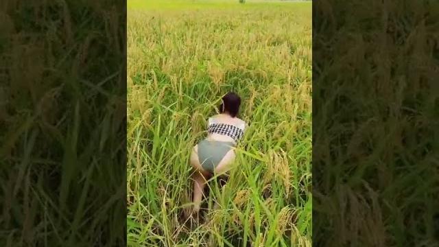 Cari geli" enak Cari geli" enak