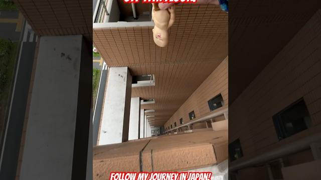 Squishy baby dropped off 11th floor! #japan #funny #baby #squishy #monkey #funnymonkey #funnyanimal Squishy baby dropped off 11th floor! #japan #funny #baby #squishy #monkey #funnymonkey #funnyanimal