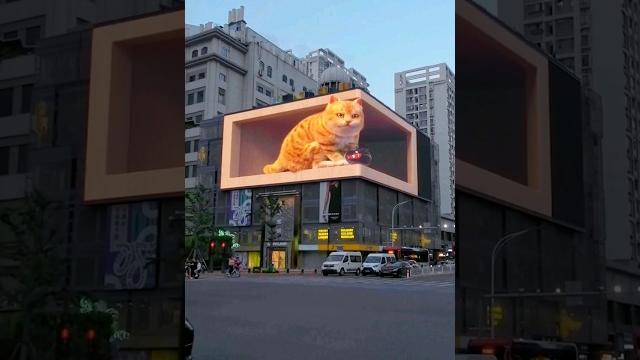 #china #武汉 #walk #3d #街拍 #裸眼3d 钟家村裸眼3d大屏——调皮的猫 #china #武汉 #walk #3d #街拍 #裸眼3d 钟家村裸眼3d大屏——调皮的猫