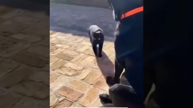 Здарова, джек, че как сам? Здарова, джек, че как сам?