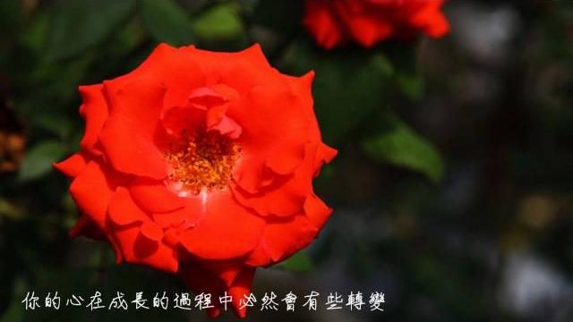 吳宗憲 - 生 吳宗憲 - 生