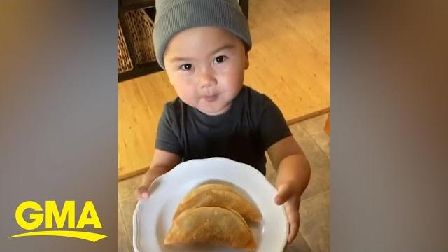 People are loving this adorable boy's politeness l gma digital People are loving this adorable boy's politeness l gma digital