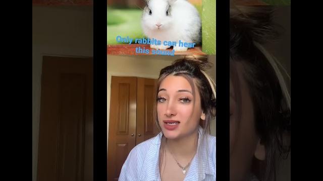 Omg only rabbits hear this sound! you need to try this! Omg only rabbits hear this sound! you need to try this!