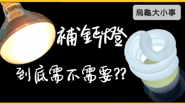到底需不需要補鈣燈具《烏龜大小事》 到底需不需要補鈣燈具《烏龜大小事》