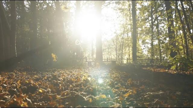 Autumn leaves (orchestral) (official video) - eva cassidy with the london symphony orchestra Autumn leaves (orchestral) (official video) - eva cassidy with the london symphony orchestra