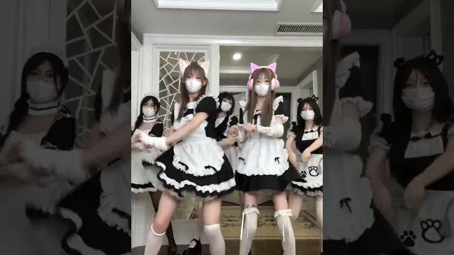 【擦边观察】女仆店? 【擦边观察】女仆店?