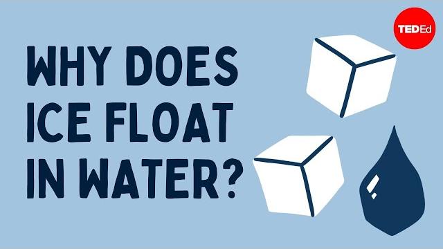 Why does ice float in water? - george zaidan and charles morton Why does ice float in water? - george zaidan and charles morton