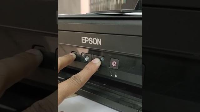 Epson ink reset error Epson ink reset error