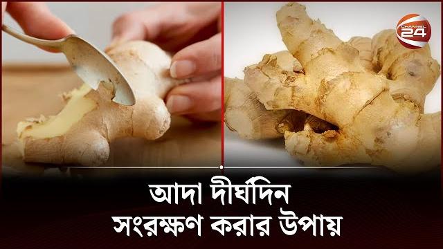 আদা দীর্ঘদিন সংরক্ষণ করার উপায় | channel 24 আদা দীর্ঘদিন সংরক্ষণ করার উপায় | channel 24