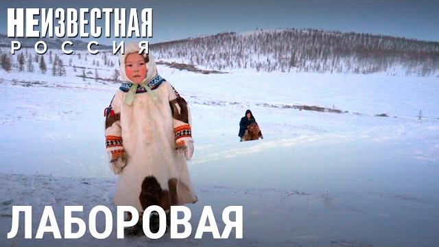 Дети тундры | неизвестная россия Дети тундры | неизвестная россия