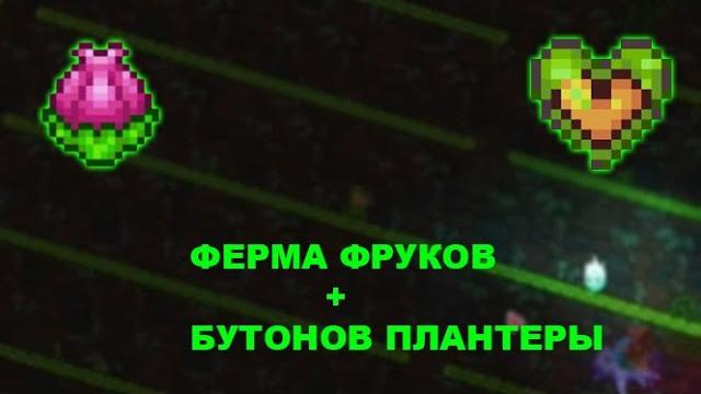 Ферма бутонов плантеры и фруктов жизни Ферма бутонов плантеры и фруктов жизни