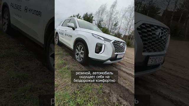 Hyundai palisade на бездорожье Hyundai palisade на бездорожье