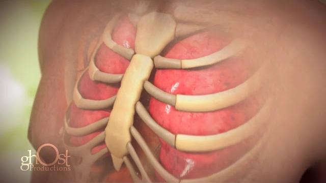 Ghost productions - cardiology animation Ghost productions - cardiology animation