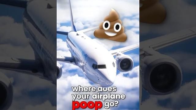 Where does airplane poop go? Where does airplane poop go?