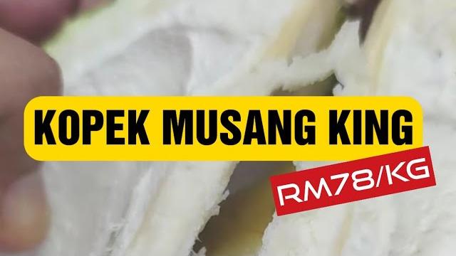 Musang king raub Musang king raub