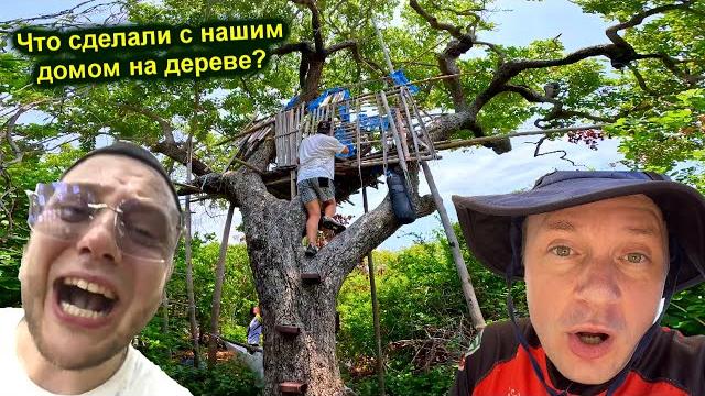 Что сделали с домом на дереве на необитаемом острове !!! электро доспехи и обезьяны ! антоха в шоке Что сделали с домом на дереве на необитаемом острове !!! электро доспехи и обезьяны ! антоха в шоке