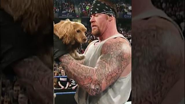 The undertaker gets a puppy #short The undertaker gets a puppy #short