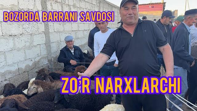 Bozorda qo’y qo’zi narxlari Bozorda qo’y qo’zi narxlari